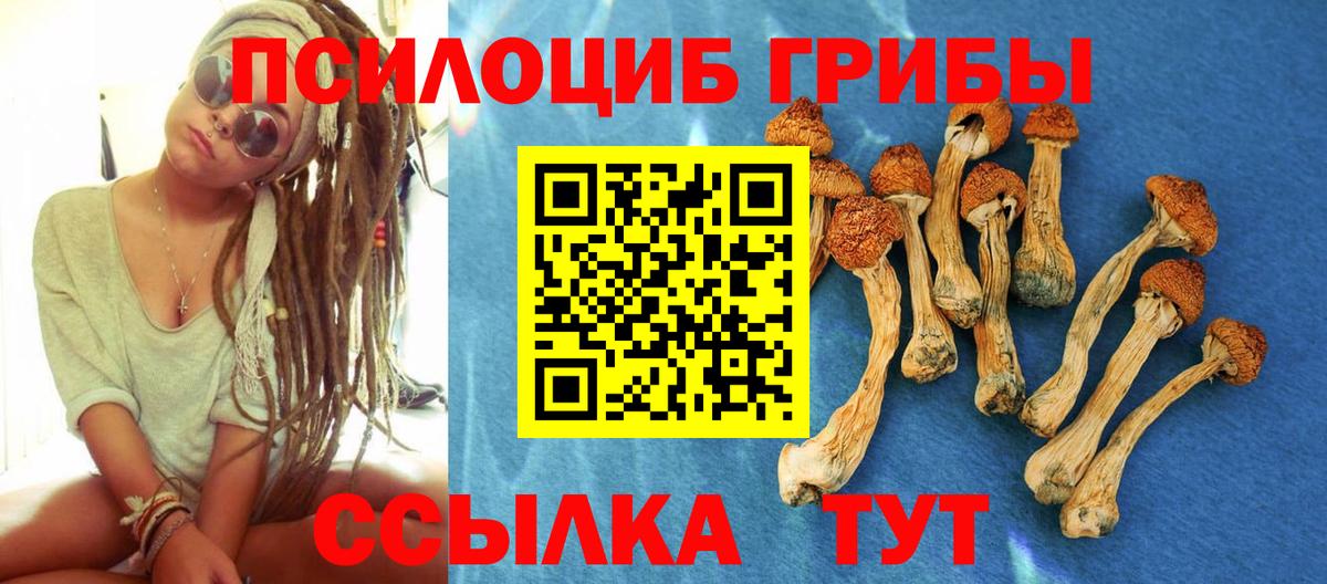 Тамбов  Галлюциногенные грибы мухоморы  Вход с VPN 